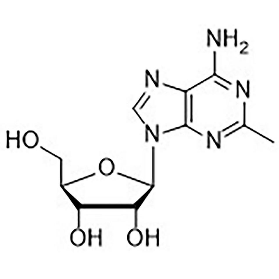 2-Methyladenosine